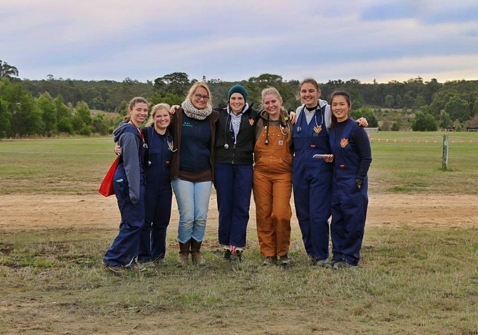 11053444_10204048150956230_6907471907237332489_n