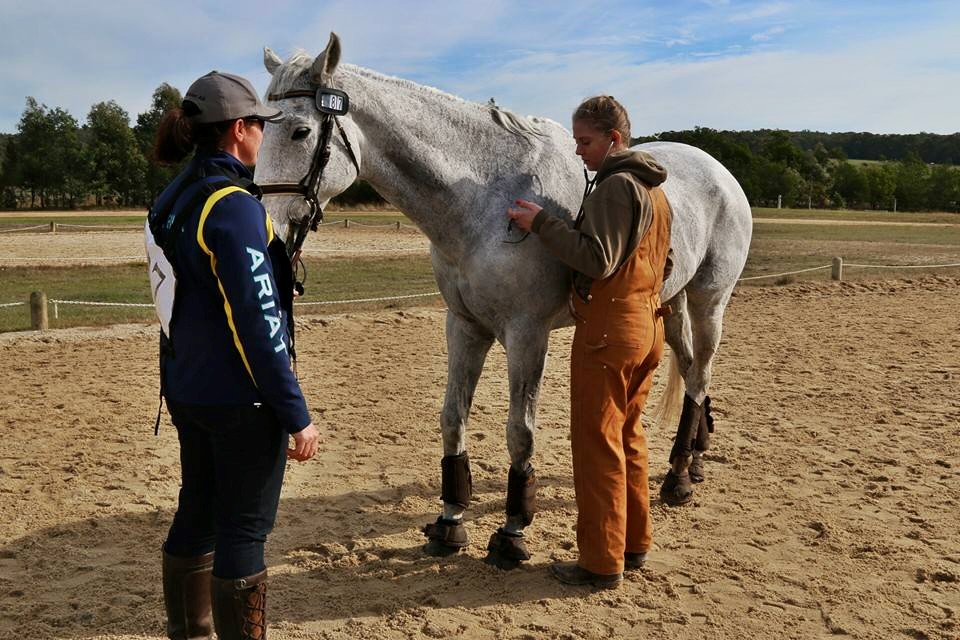 11224228_10204048147236137_567989372277372091_n