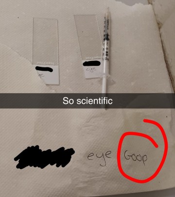 Snapchat-781925505_LI (2)