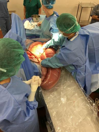 29340143_10155930484875306_1177722582804201472_o