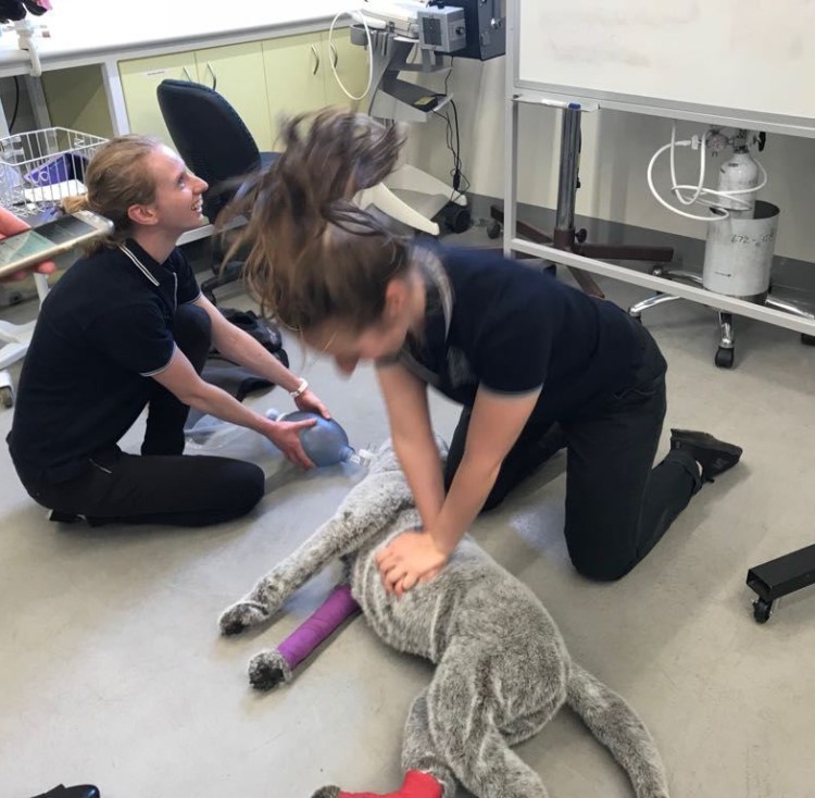 WhatsApp Image 2018-04-22 at 10.06.35 PM