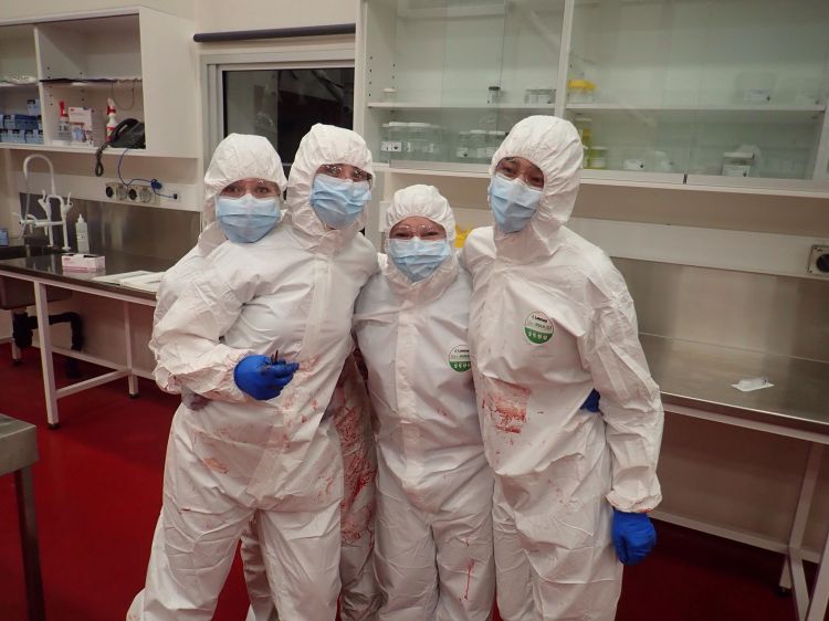 32512068_10155161941376394_6060239459276816384_n