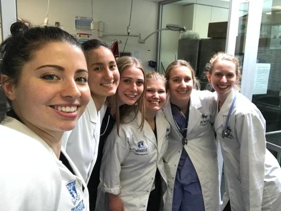 WhatsApp Image 2018-10-27 at 6.30.09 PM