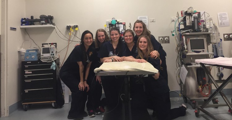 45261786_1928843004077418_8720174372830052352_n